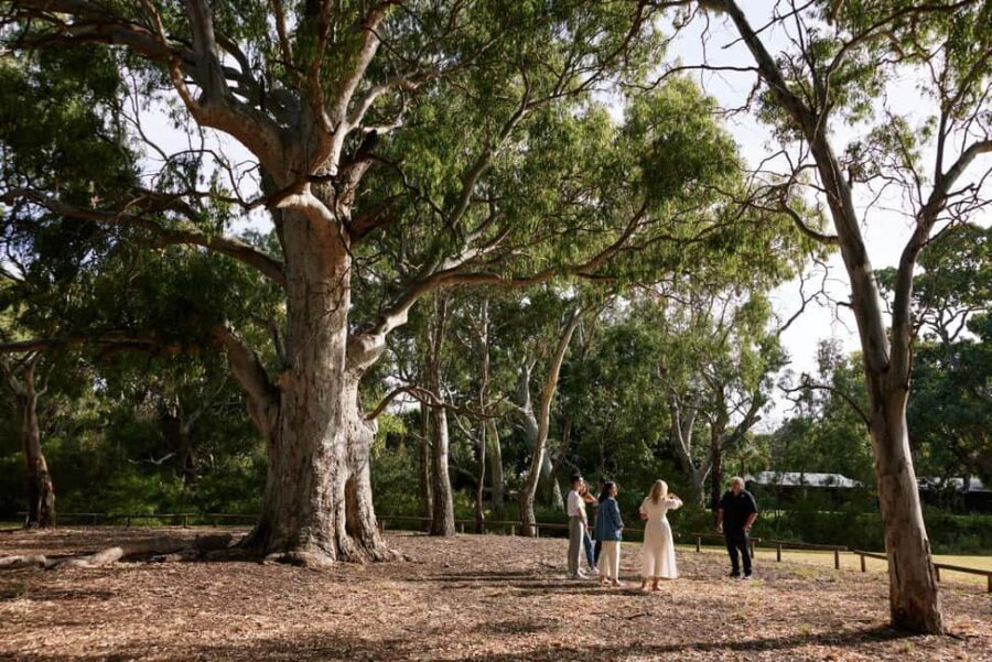 Adelaide: Guided Warriparinga Cultural and Historical Tour - A Deep Dive into the Experience