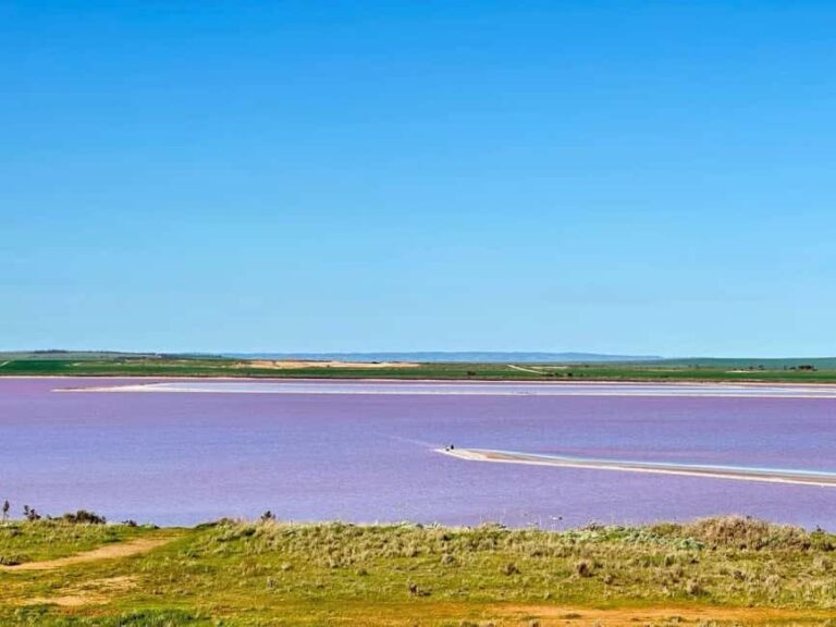 Adelaide Highlights: Wine, Whispering Wall & Pink Lake Tour - FAQs