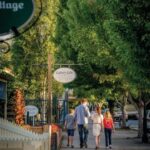 Adelaide Hills and Hahndorf Hop-On-Hop-Off Tour - The Itinerary: What to Expect