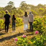 Adelaide Hills: Jurlique Farm Tour - The Itinerary Breakdown