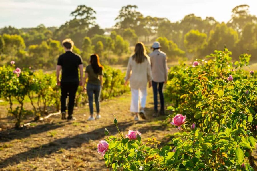 Adelaide Hills: Jurlique Farm Tour - The Itinerary Breakdown