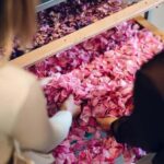 Adelaide Hills: Jurlique Private Immersion - What to Expect During Your Visit