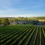 Adelaide: McLaren Vale All-Inclusive Wine and Brew Tour - Why This Tour Works Well