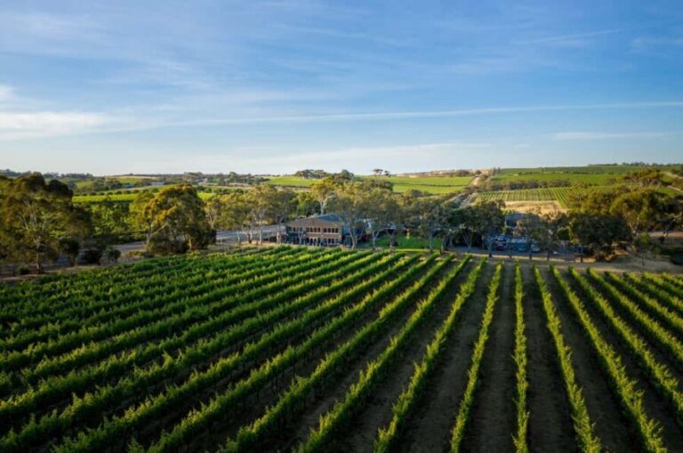 Adelaide: McLaren Vale All-Inclusive Wine and Brew Tour - Why This Tour Works Well