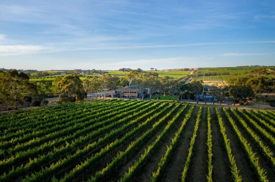 Adelaide: McLaren Vale All-Inclusive Wine and Brew Tour - Why This Tour Works Well