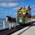 Adelaide: McLaren Vale, Port Elliot & Victor Harbor Tour - What to Expect on the Day