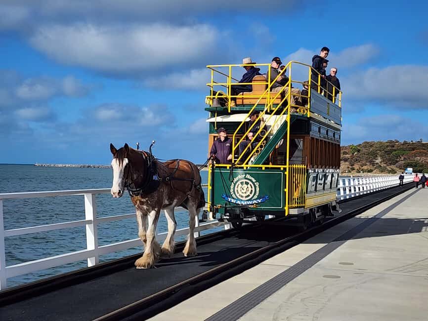 Adelaide: McLaren Vale, Port Elliot & Victor Harbor Tour - What to Expect on the Day