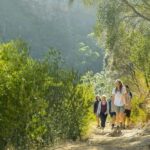 Adelaide: Morialta Wilderness and Wildlife Hike - A Closer Look at the Tour Experience