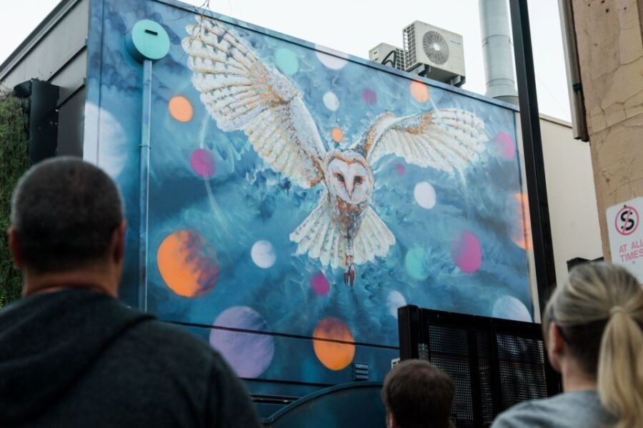 Adelaide: Paint and Palate Street Art Tour - The Practicalities: What to Expect
