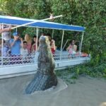 Adelaide River Cruises - Jumping Crocodile Experience - Practical Details That Matter