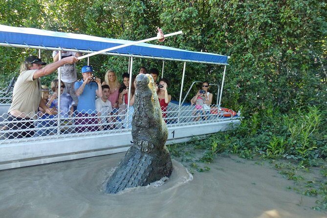 Adelaide River Cruises - Jumping Crocodile Experience - Practical Details That Matter