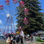 Adelaide: South Australia Guided Full-Day Highlights Tour - Transportation, Group Size, and Comfort