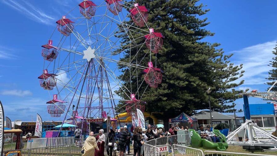 Adelaide: South Australia Guided Full-Day Highlights Tour - Transportation, Group Size, and Comfort