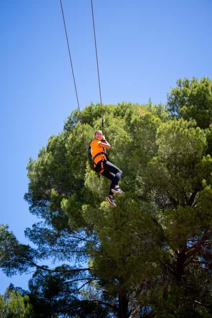 Adelaide: TreeClimb Adventure - What to Expect at Adelaide’s TreeClimb Adventure