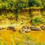 ADVENTURE: 7DAYS KENYA SAFARI - A Detailed Breakdown of the Itinerary