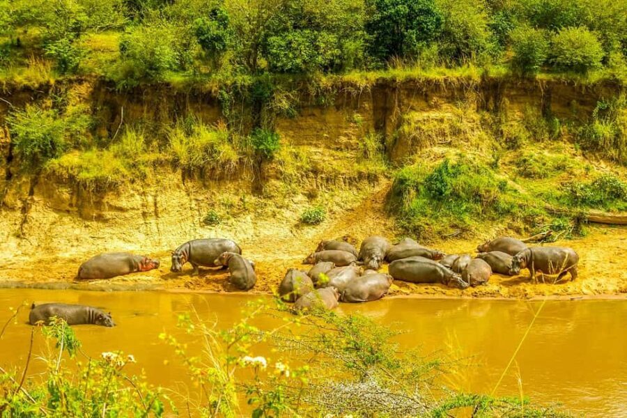 ADVENTURE: 7DAYS KENYA SAFARI - A Detailed Breakdown of the Itinerary