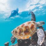 Adventure Moreton Island Scuba Dive Tour - FAQ