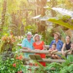 Adventure on a Budget Visit Kuranda or Palm Cove from Pt Douglas - A Closer Look at What This Tour Offers