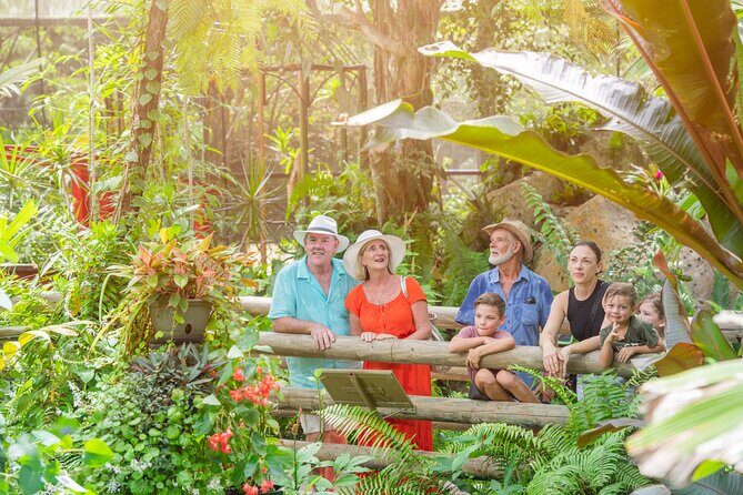 Adventure on a Budget Visit Kuranda or Palm Cove from Pt Douglas - A Closer Look at What This Tour Offers
