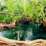 Affordable Day Trip Tour to Chemka Hot Springs from Moshi - The Sum Up