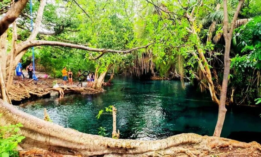 Affordable Day Trip Tour to Chemka Hot Springs from Moshi - The Sum Up