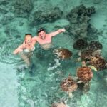 African Maldives: Mnemba, Sea Turtles & The Rock Restaurant - Who Should Consider This Tour?
