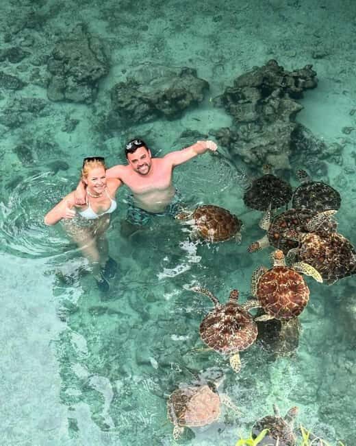 African Maldives: Mnemba, Sea Turtles & The Rock Restaurant - Who Should Consider This Tour?