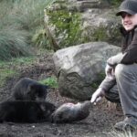 After Dark Tasmanian Devil Feeding Tour at Cradle Mountain - Why You Should Consider This Tour