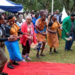 Afternoon Cultural Tour at Bomas of Kenya in Nairobi - Is This Tour Worth the Price?