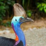 Afternoon & Evening Tour of Paronella Park - What the Reviews Say