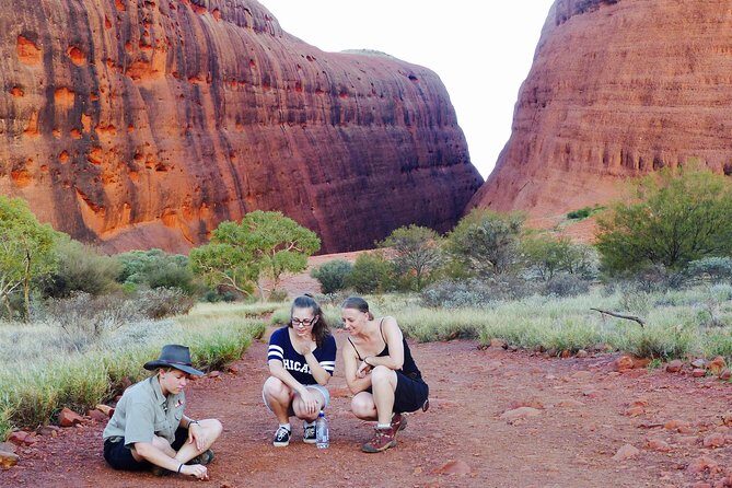 Afternoon Kata Tjuta Small Group Tour - An In-Depth Look at the Tour Experience