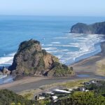 Afternoon Piha Beach and Rainforest Tour from Auckland - The Experience from Reviews