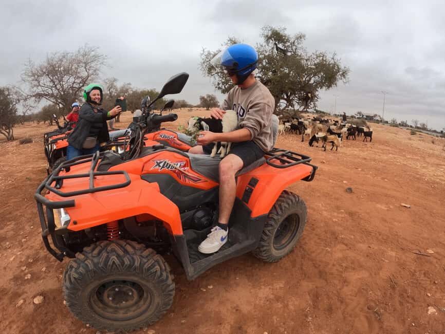 Agadir: Agafay Desert Quad Biking With Goats On The Tree - Authenticity and Value for Money