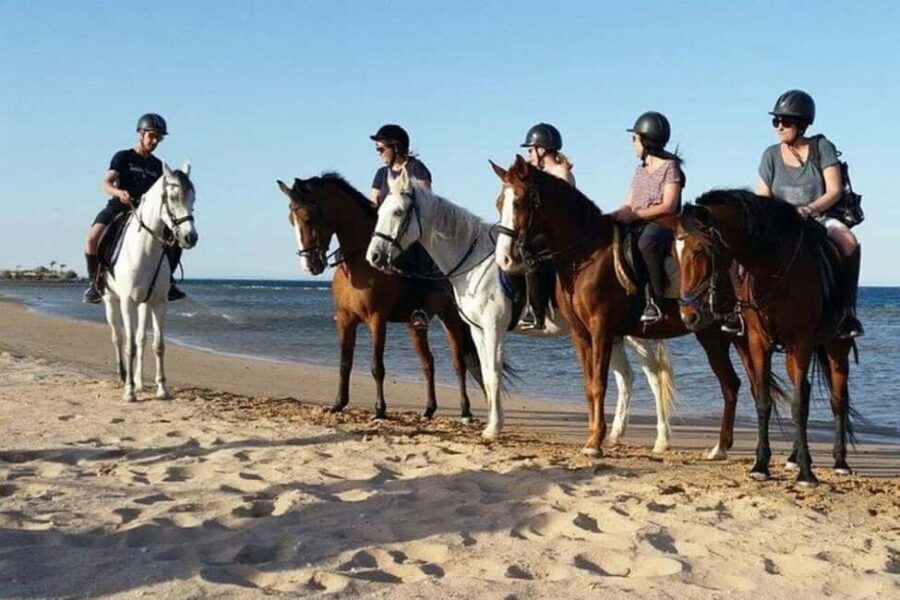 Agadir and Taghazout: Morning Horse Ride on The Beach - Authentic Experience and Real Reviews