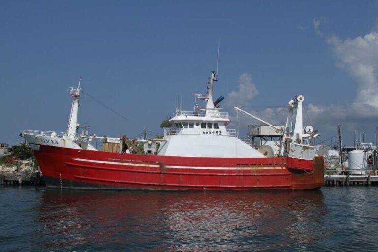 Agadir Boat Trip fishing & Swimming Adventure - The Value of the Experience