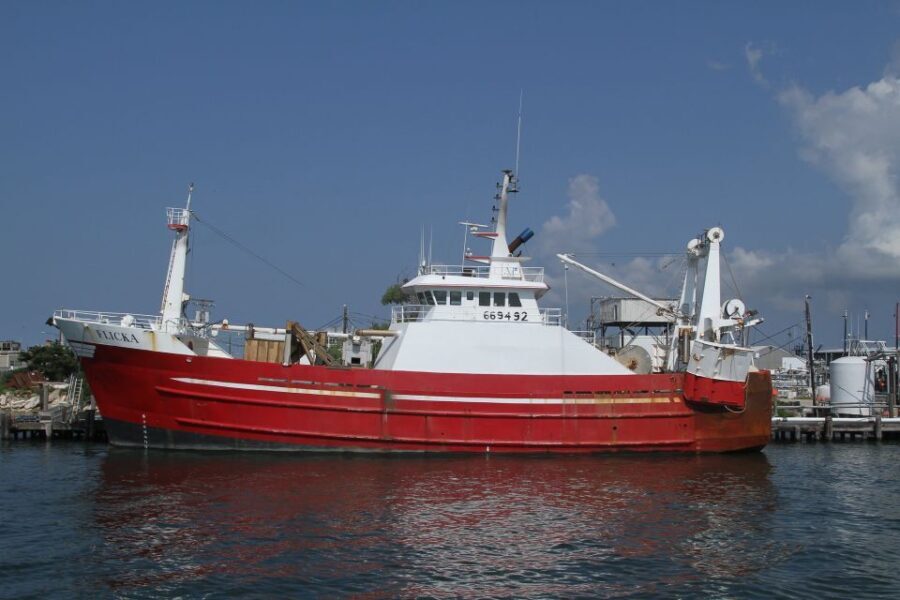 Agadir Boat Trip fishing & Swimming Adventure - The Value of the Experience