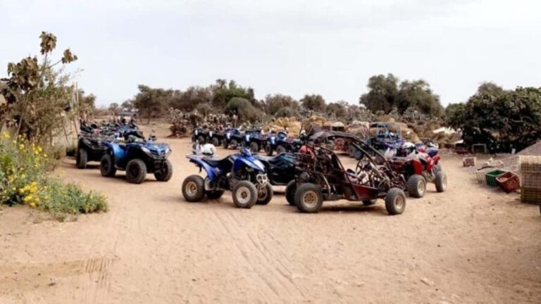 Agadir: Buggy Adventure with Guide and Lunch - What to Expect During the Ride