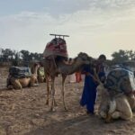 Agadir: Camel Ride at Sunset with Moroccan Dinner + transfer - Practical Details: What You Need to Know