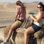 Agadir Camel Ride Flamingo River & BBQ Dinner - Authentic Moroccan Encounters and Practical Details