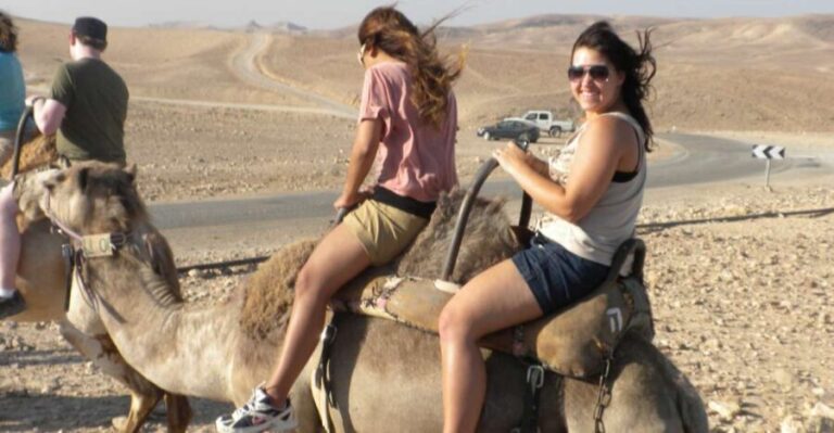 Agadir Camel Ride Flamingo River & BBQ Dinner - Authentic Moroccan Encounters and Practical Details
