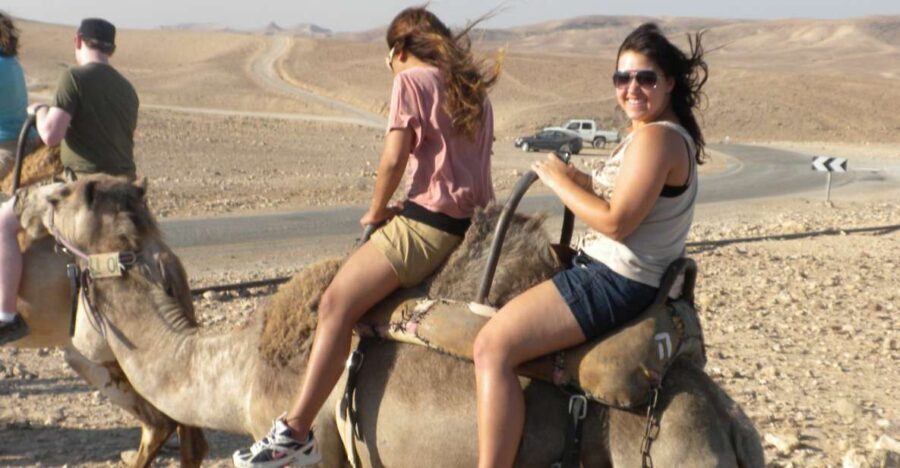 Agadir Camel Ride Flamingo River & BBQ Dinner - Authentic Moroccan Encounters and Practical Details