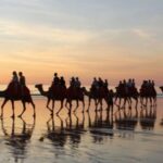 Agadir: Camel Ride With Tea - The Experience: Pros and Cons