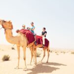 Agadir: Camel Ride With Tea - What to Expect on Your Camel Ride