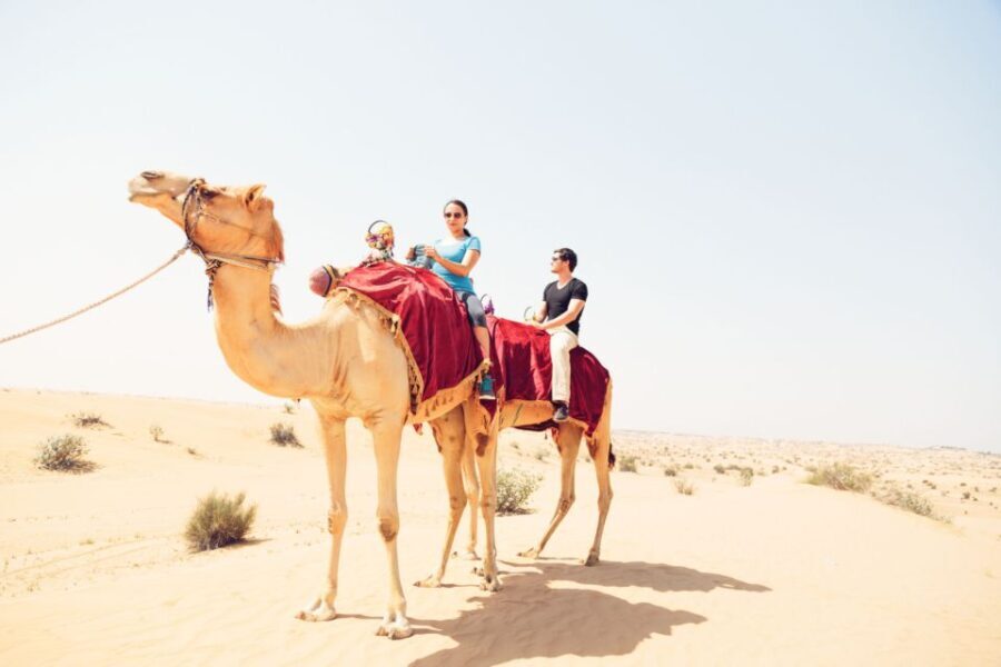 Agadir: Camel Ride With Tea - What to Expect on Your Camel Ride
