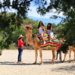 Agadir: Camel Ride With Tea & BBQ Dinner Option - What Makes the Camel Ride Special?