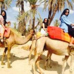 Agadir: Camel Ride With Tea & BBQ Dinner Option - Final Thoughts