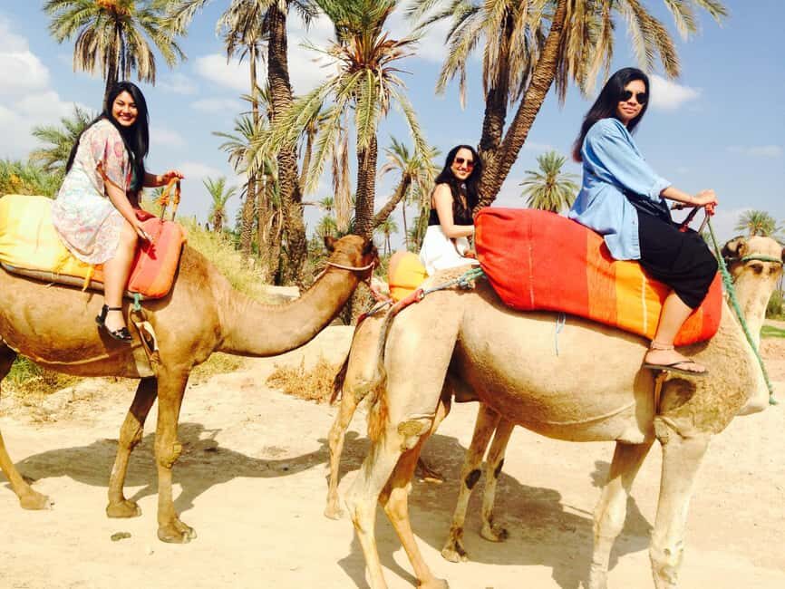 Agadir: Camel Ride With Tea & BBQ Dinner Option - Final Thoughts