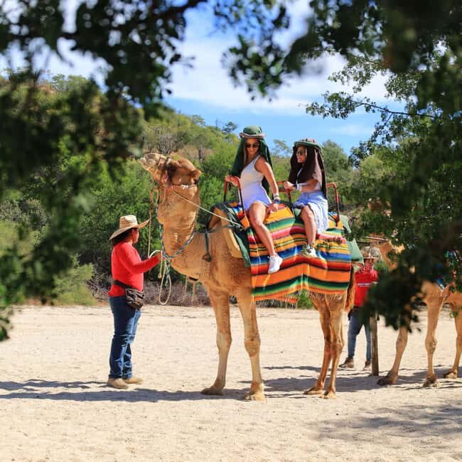 Agadir: Camel Ride With Tea & BBQ Dinner Option - What Makes the Camel Ride Special?