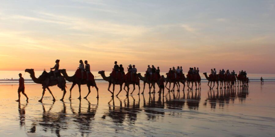 Agadir: Camel Ride With Tea - The Experience: Pros and Cons