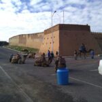 Agadir : City Sightseeing Tour - The Experience and Transportation